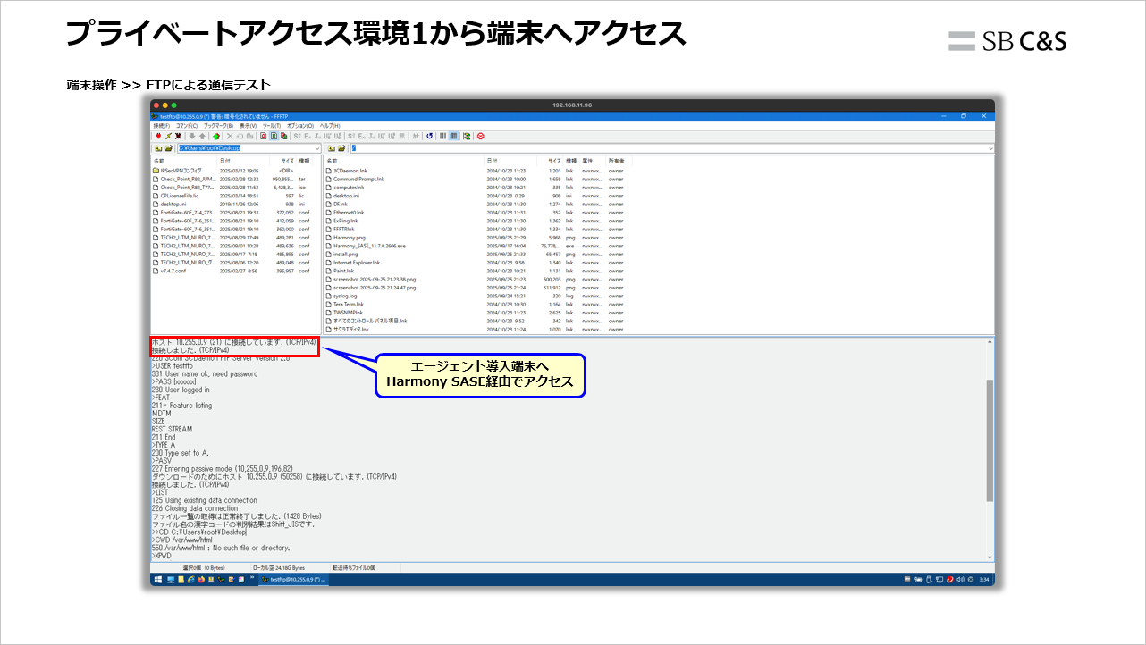 CheckPoint_Harmony_SASE (13).png