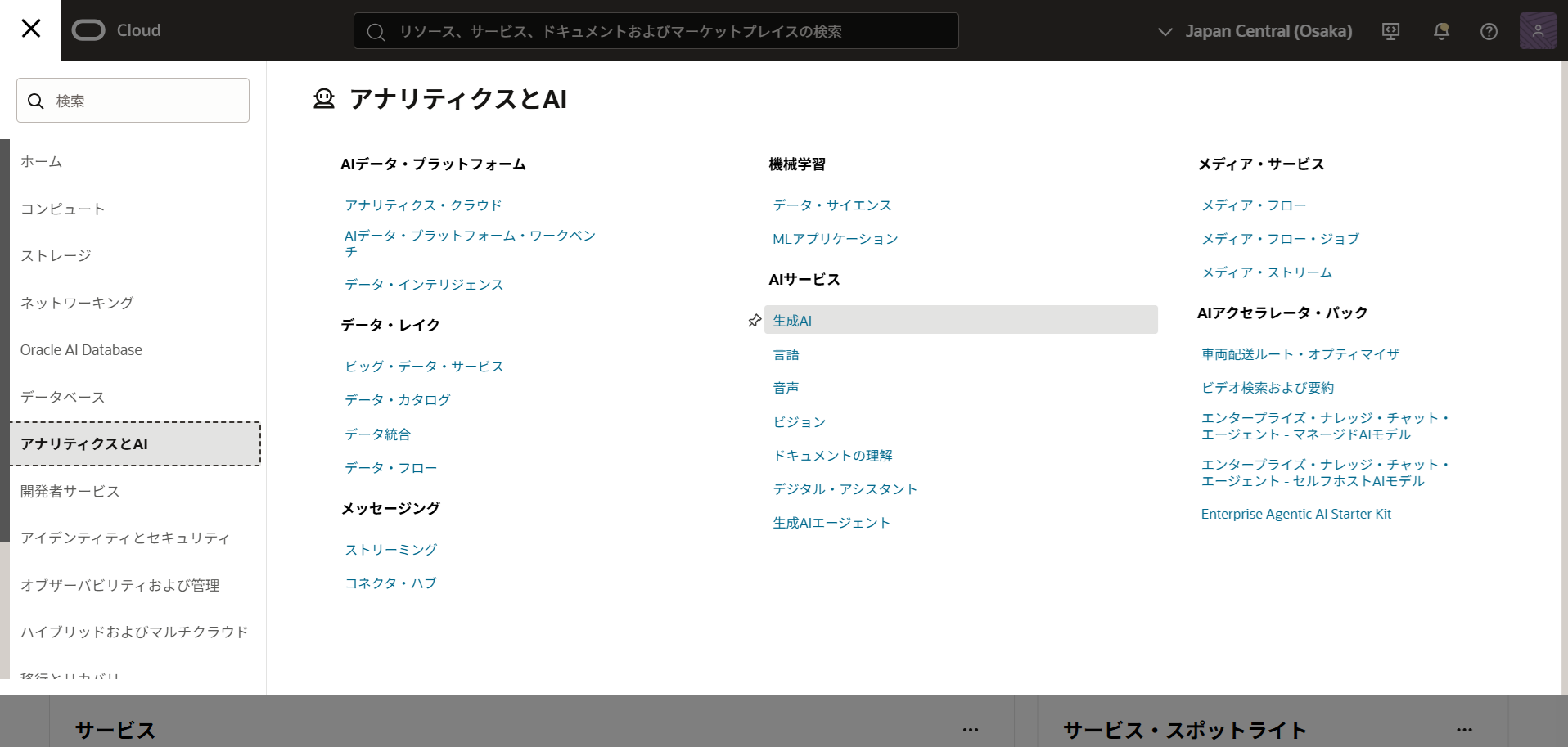 OCI paas gemini 02.png