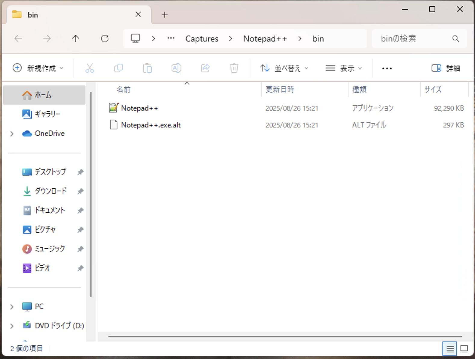 bin folder